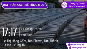 giao bó vỉa bê tông Tân Phước Vũng Tàu