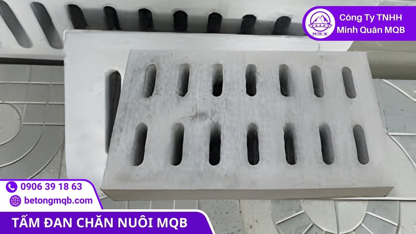 Nền chuồng bền giúp tối ưu chi phí vòng đời trang trại