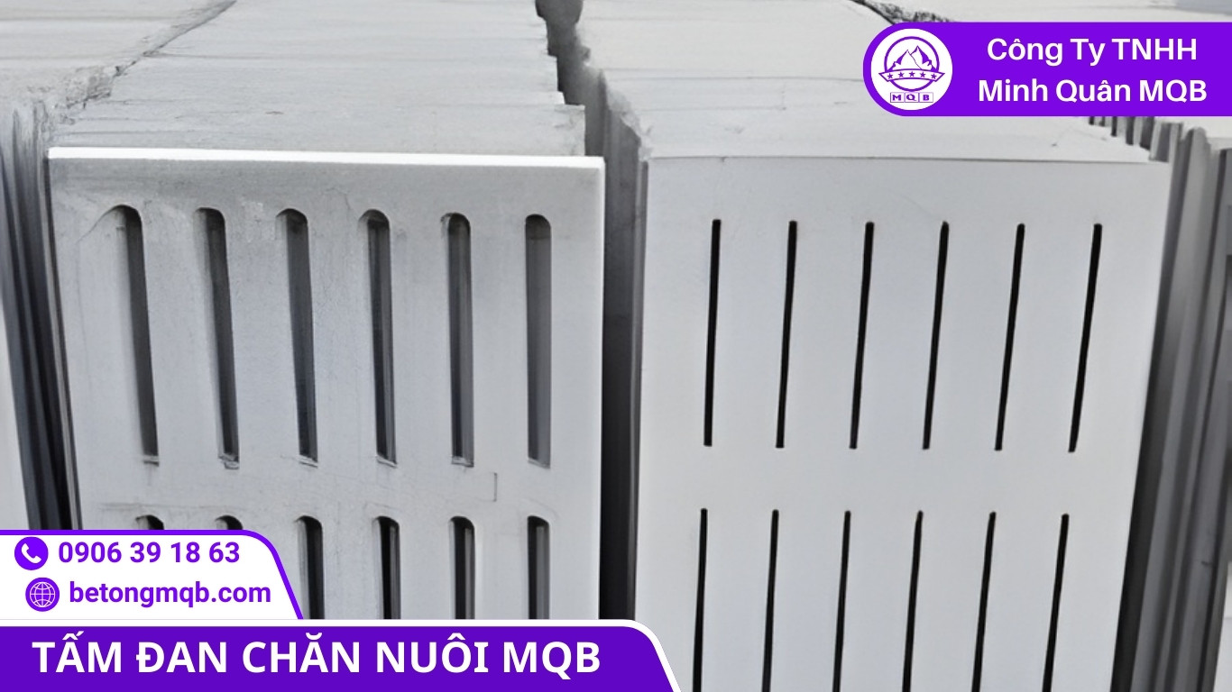 Nền chuồng tốt giúp giảm rủi ro dịch bệnh trong trang trại