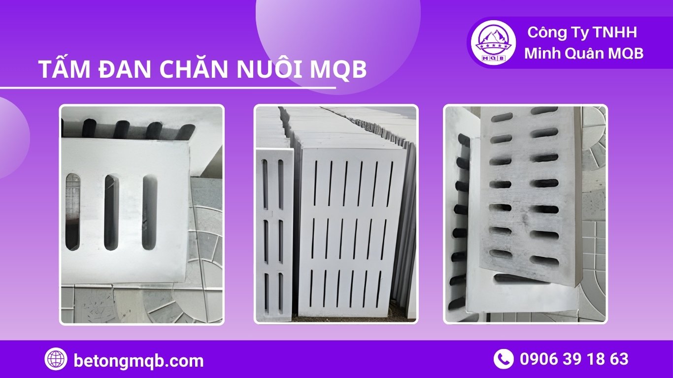 Tư vấn nâng cao hiệu suất trang trại chăn nuôi từ hạ tầng nền chuồng