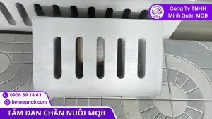 Nền chuồng sạch giúp nâng cao hiệu suất trang trại chăn nuôi