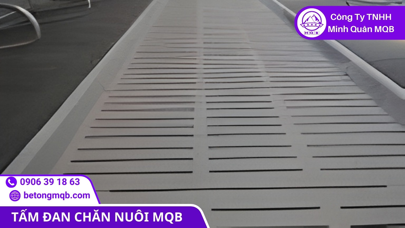 Kết cấu sàn chuồng trại công nghiệp có dự phòng mở rộng