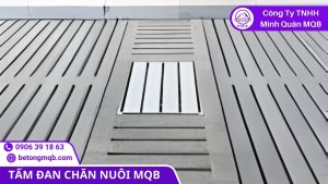 Thoát ẩm và chống thấm trong kết cấu sàn chuồng trại công nghiệp