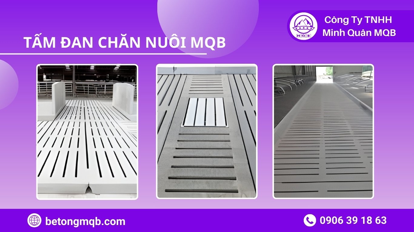 Tư vấn kết cấu sàn chuồng trại công nghiệp theo yêu cầu kỹ thuật