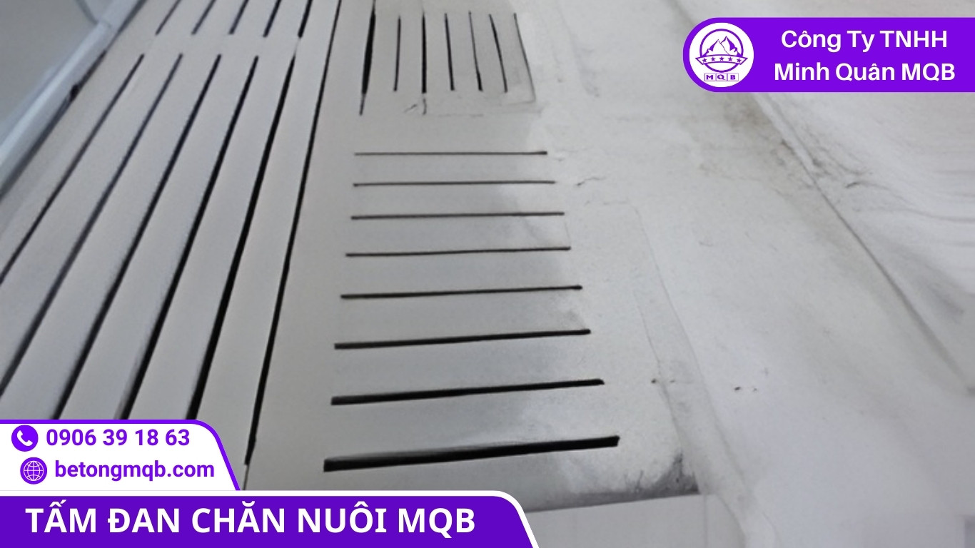 8 Giải Pháp Phân Tách Phân Nước Thải Chăn Nuôi Hiện Đại | Bê Tông MQB 2 Giảm mùi nhờ phân tách phân nước thải chăn nuôi