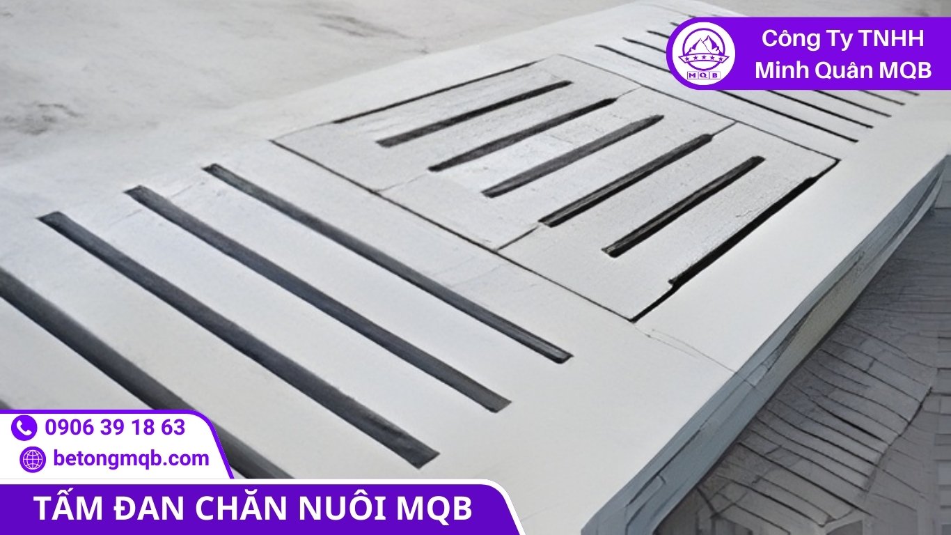 8 Giải Pháp Phân Tách Phân Nước Thải Chăn Nuôi Hiện Đại | Bê Tông MQB 1 Phân tách phân nước thải chăn nuôi ngay tại nền chuồng
