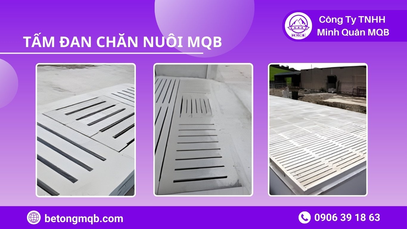 8 Giải Pháp Phân Tách Phân Nước Thải Chăn Nuôi Hiện Đại | Bê Tông MQB 4 Tư vấn giải pháp phân tách phân nước thải chăn nuôi cho trang trại