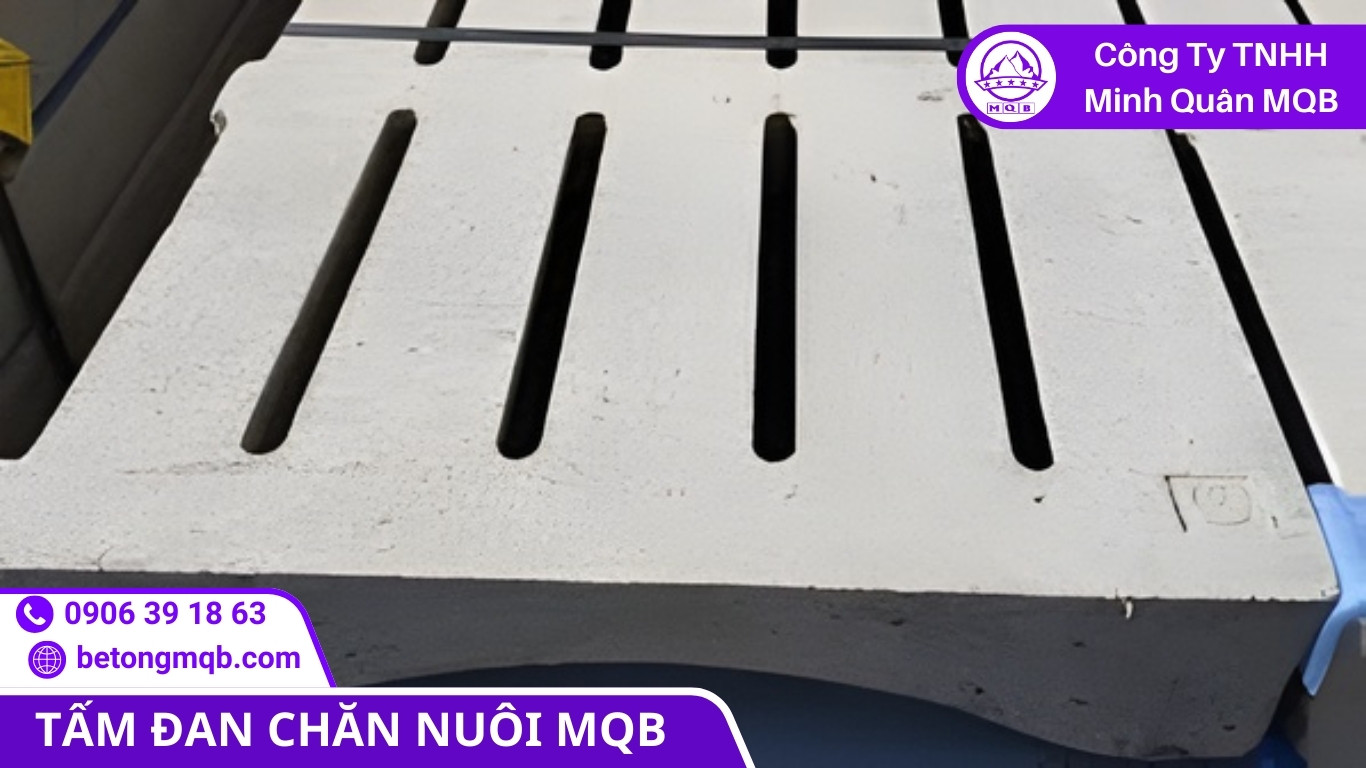 10 Tiêu Chí So Sánh Sàn Chuồng Trại Đúc Sẵn Và Đổ Tại Chỗ | Bê Tông MQB 2 So sánh khả năng thoát thải và vệ sinh của sàn chuồng trại đúc sẵn
