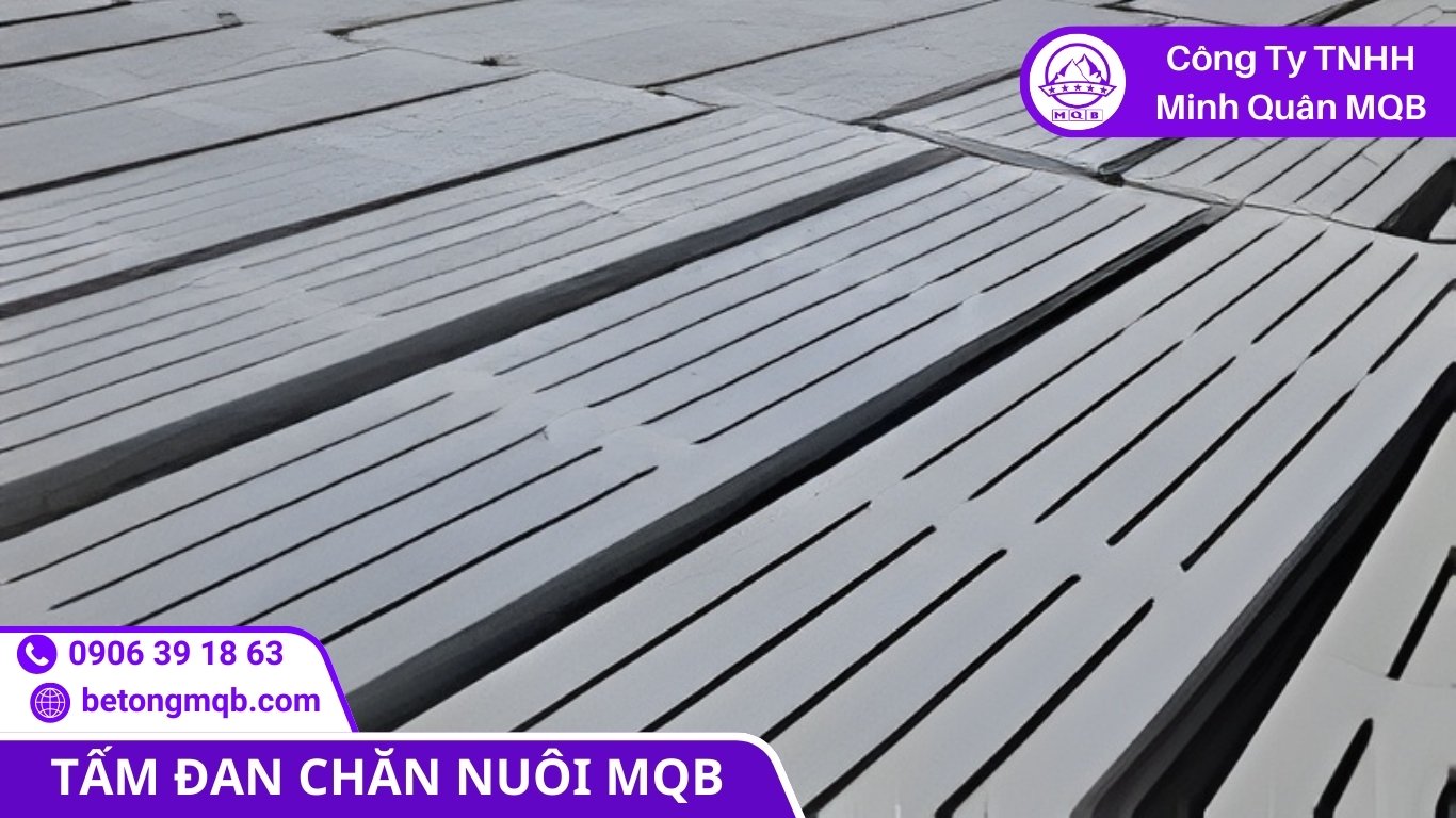 10 Tiêu Chí So Sánh Sàn Chuồng Trại Đúc Sẵn Và Đổ Tại Chỗ | Bê Tông MQB 1 Sàn chuồng trại đúc sẵn giúp rút ngắn tiến độ thi công