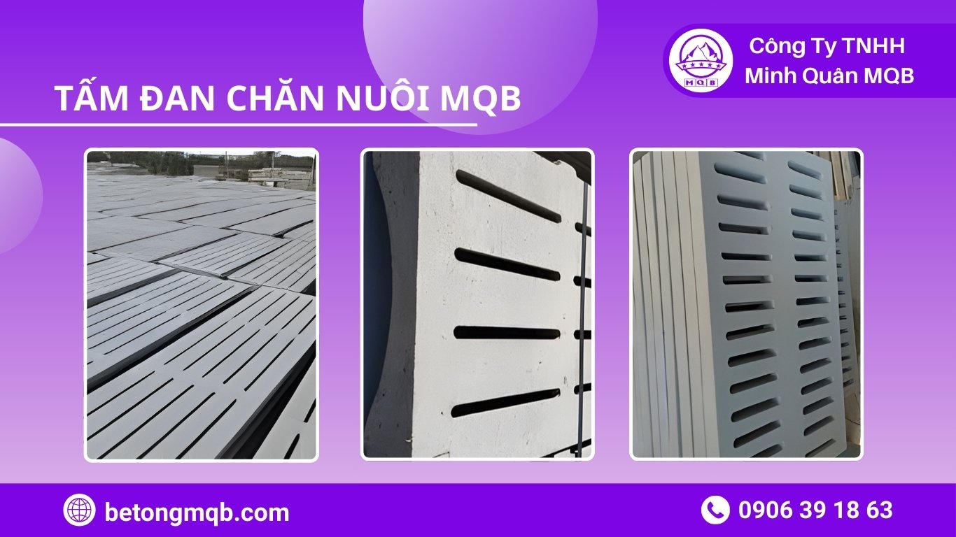 10 Tiêu Chí So Sánh Sàn Chuồng Trại Đúc Sẵn Và Đổ Tại Chỗ | Bê Tông MQB 4 Tư vấn lựa chọn sàn chuồng trại đúc sẵn phù hợp công trình