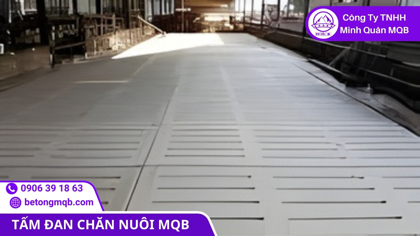 8 Cách Tấm Đan Chăn Nuôi Chống Dịch Giảm Rủi Ro Dịch | Bê Tông MQB 3 So sánh nền chuồng truyền thống và tấm đan chăn nuôi chống dịch