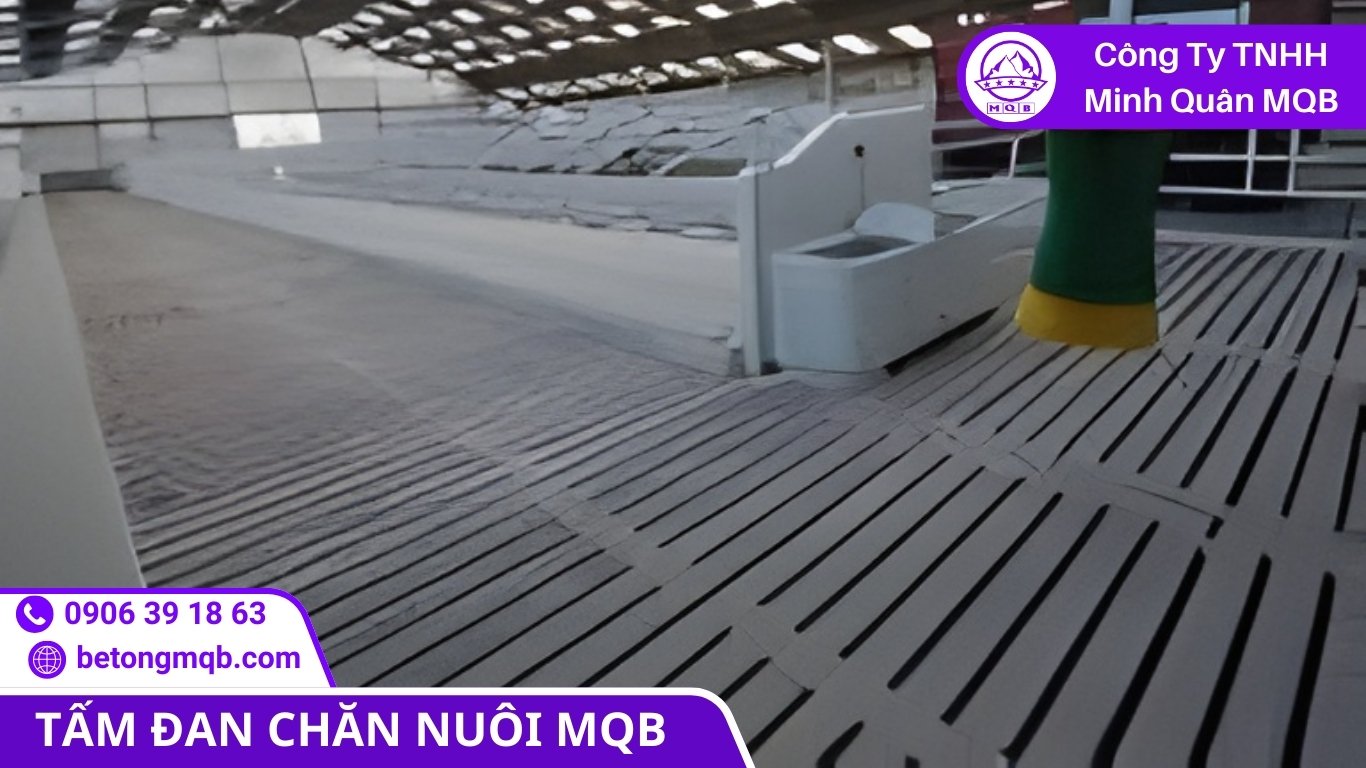 8 Cách Tấm Đan Chăn Nuôi Chống Dịch Giảm Rủi Ro Dịch | Bê Tông MQB 2 Kiểm soát môi trường chuồng trại nhờ tấm đan chăn nuôi chống dịch