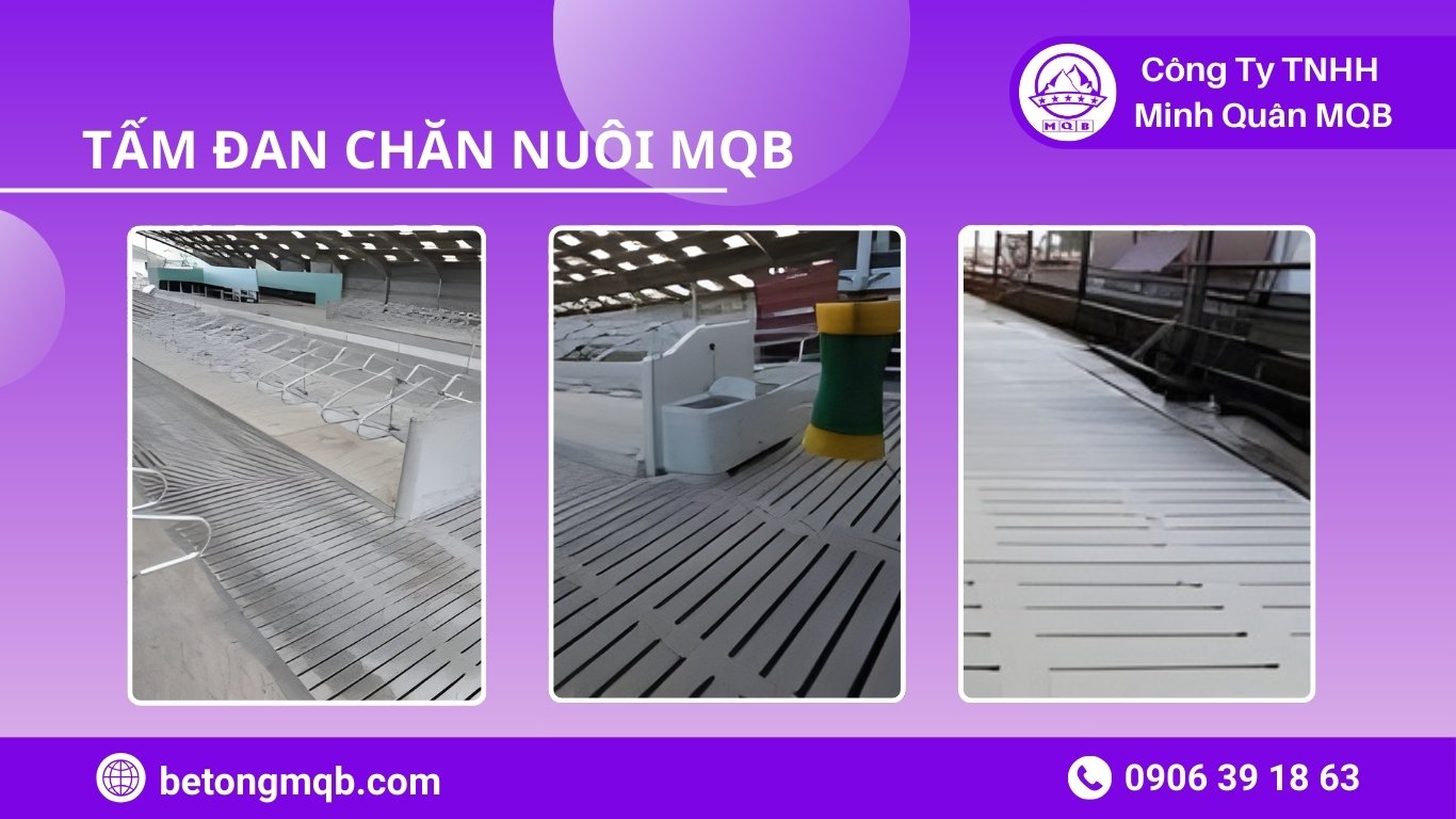 8 Cách Tấm Đan Chăn Nuôi Chống Dịch Giảm Rủi Ro Dịch | Bê Tông MQB 4 Tư vấn lựa chọn tấm đan chăn nuôi chống dịch theo an toàn sinh học trang trại