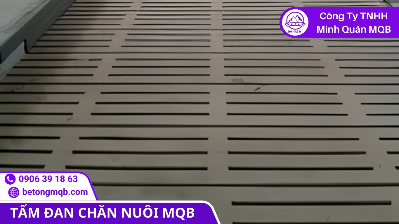 Bố trí hệ thống thu gom cho tấm đan chăn nuôi heo bò trong chuồng trại