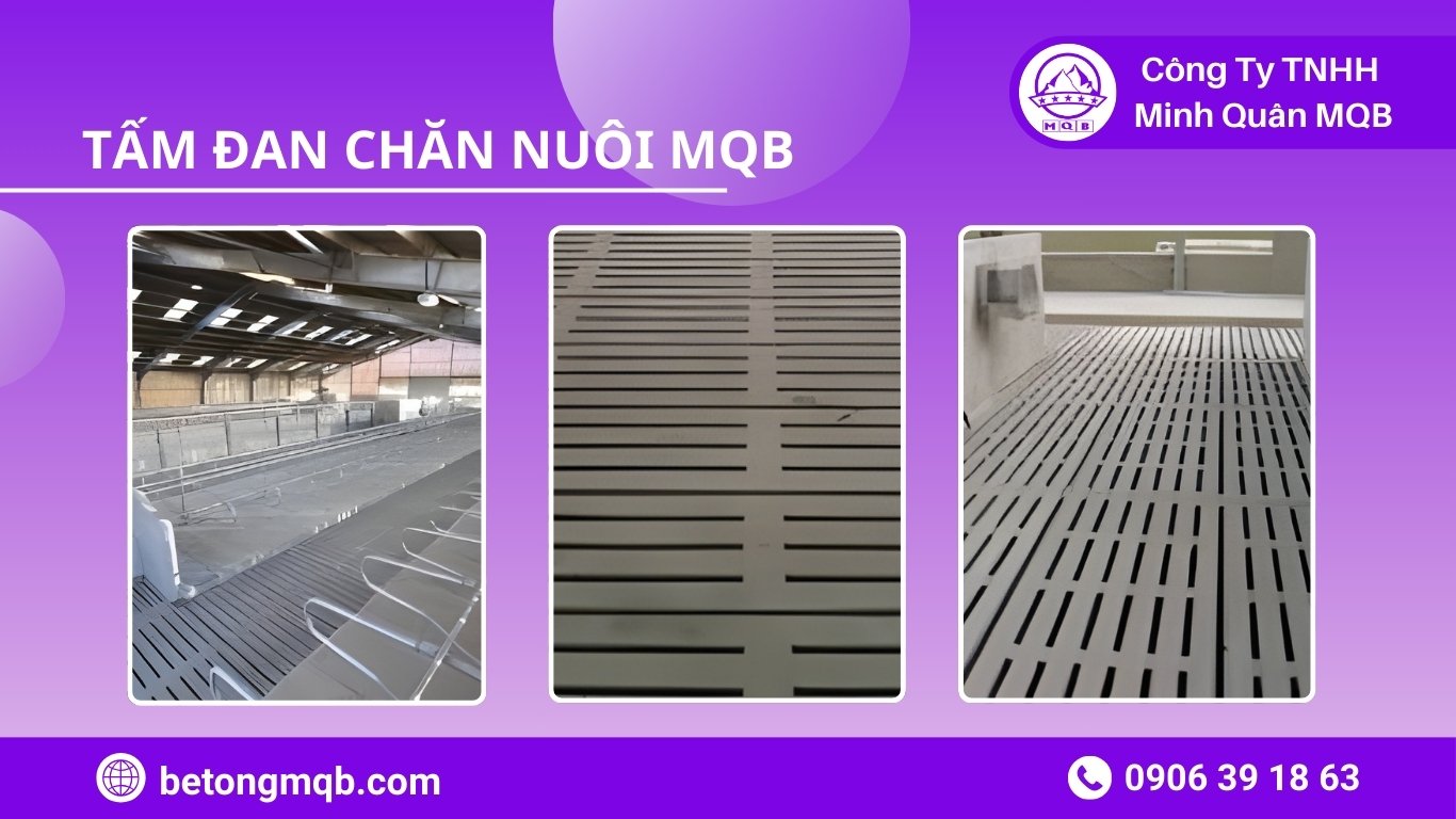 Tư vấn lựa chọn tấm đan chăn nuôi heo bò theo yêu cầu vận hành trang trại