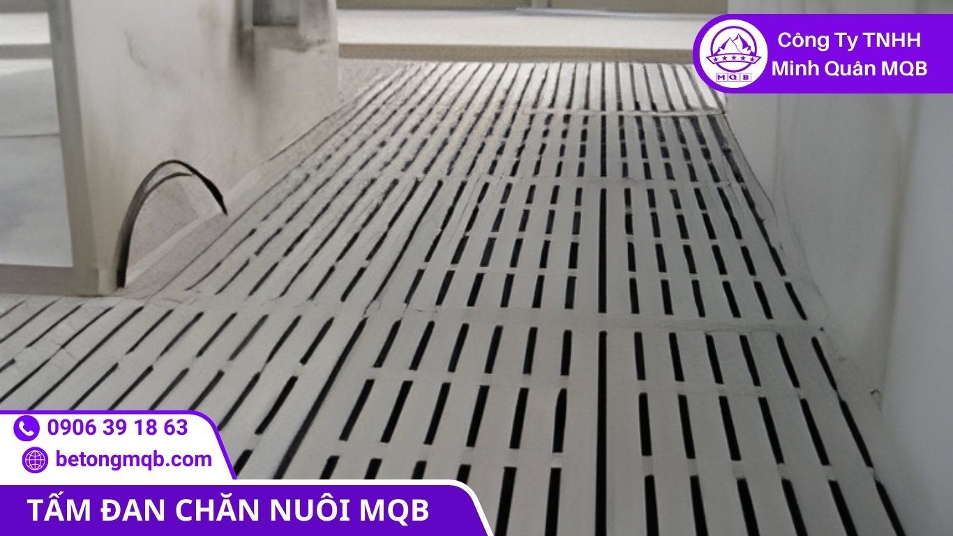 Ứng dụng tấm đan chăn nuôi heo bò trong thiết kế chuồng trại theo vật nuôi