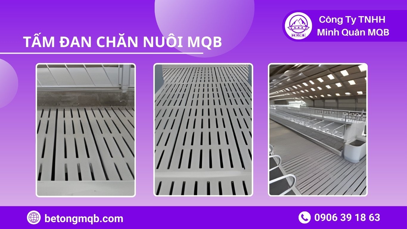 Tư vấn giải pháp tấm đan chuồng trại công nghiệp cho trang trại lớn