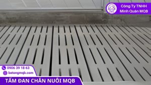 Tấm đan chuồng trại công nghiệp giúp thoát thải nhanh và sạch