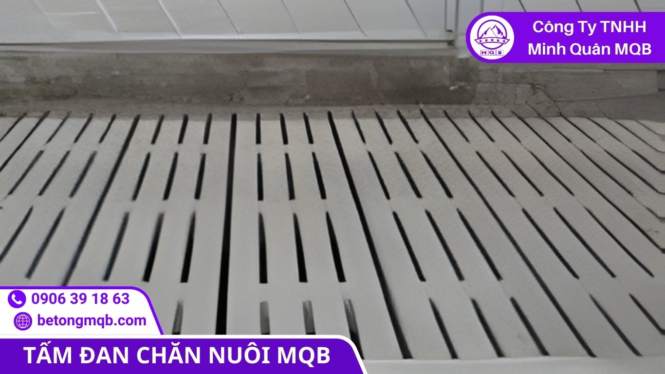 Tấm đan chuồng trại công nghiệp giúp thoát thải nhanh và sạch