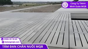 Bảo trì không đúng cách làm giảm tuổi thọ nền chuồng trại