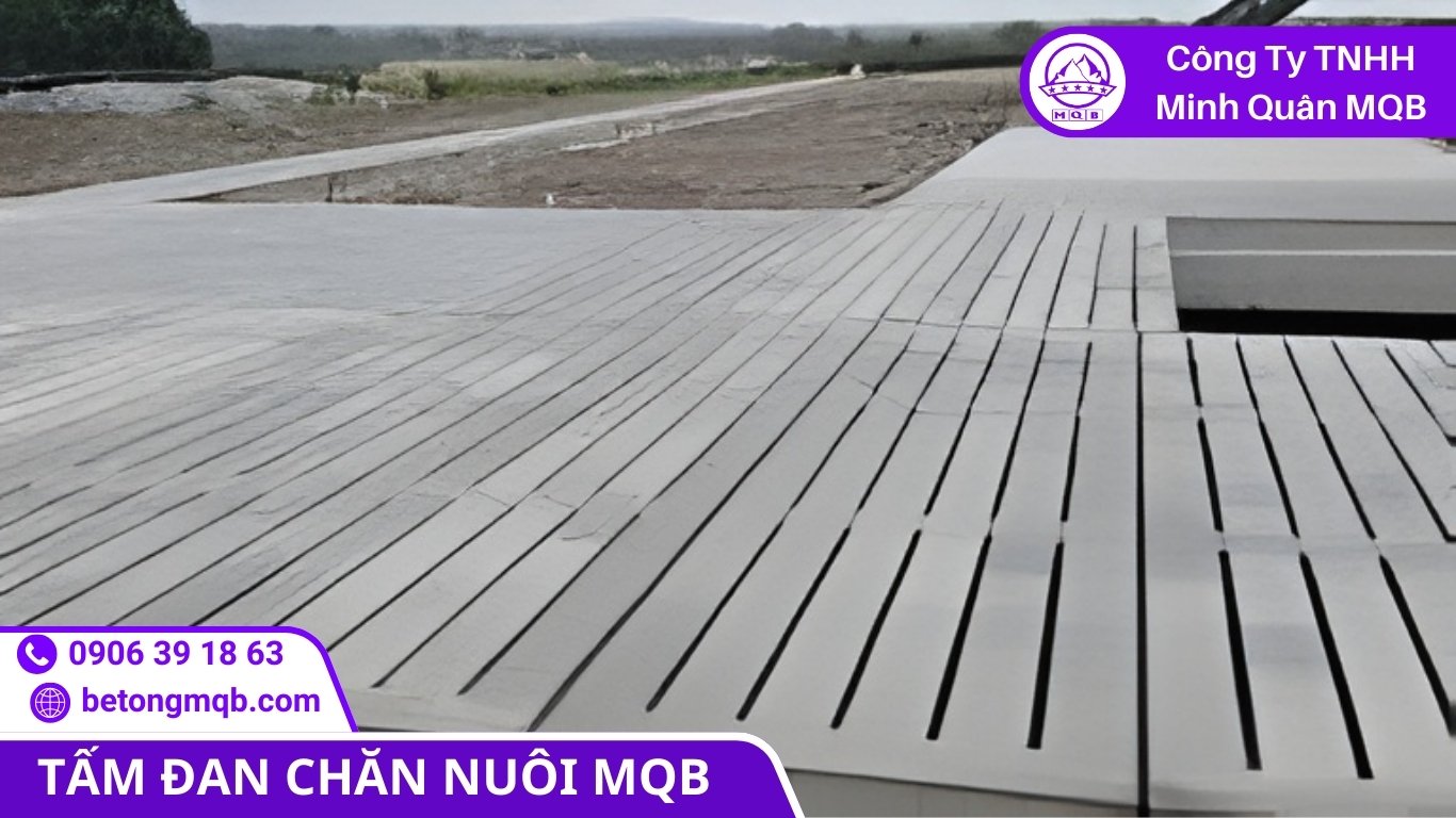 Bảo trì không đúng cách làm giảm tuổi thọ nền chuồng trại