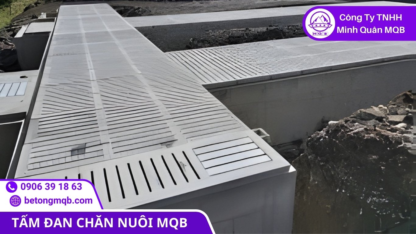 Cải tạo chắp vá khiến nền chuồng trại nhanh xuống cấp trở lại