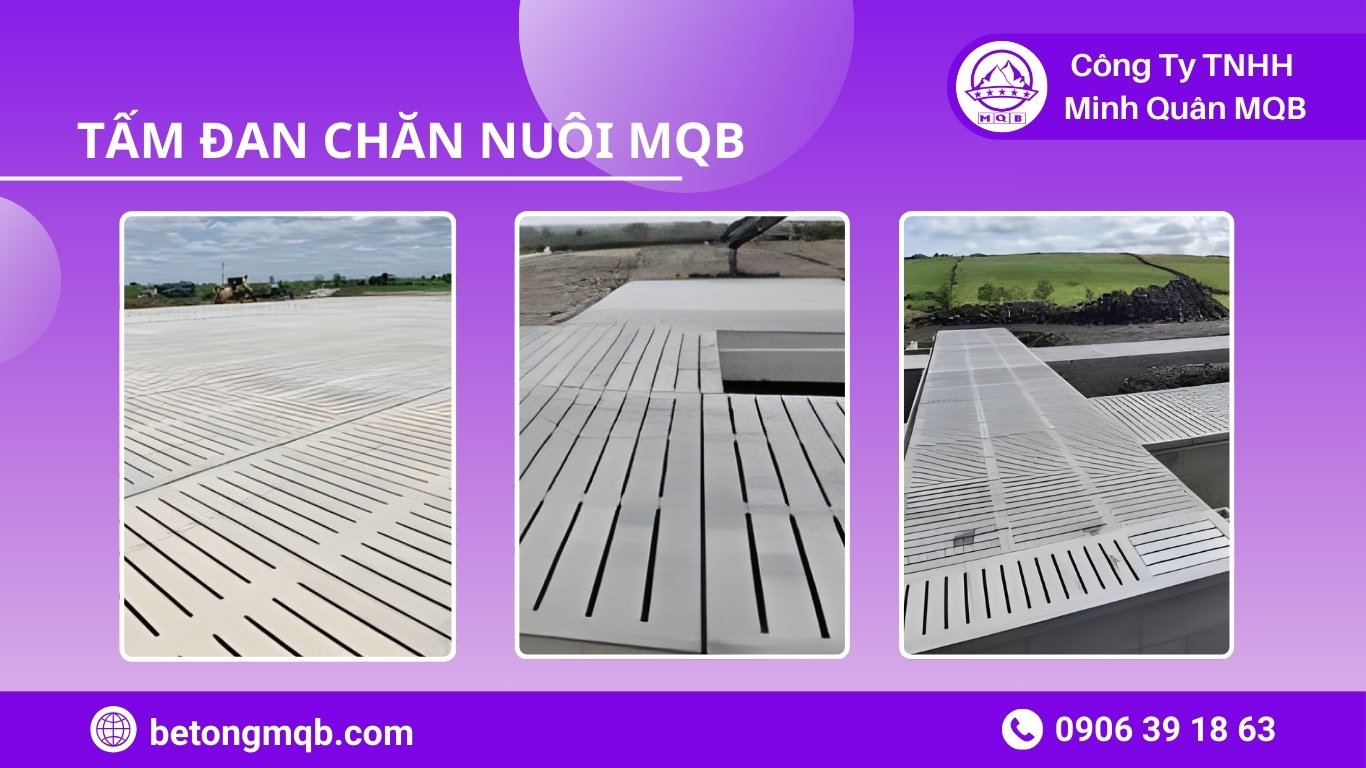 Tư vấn giải pháp kéo dài tuổi thọ nền chuồng trại