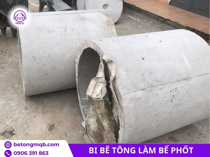 Bi bê tông bể phốt D800 đúc sẵn 4 191