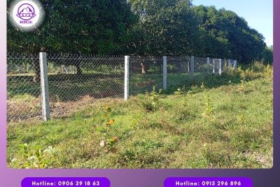 Trụ bê tông 100x100x2000mm rào lưới B40