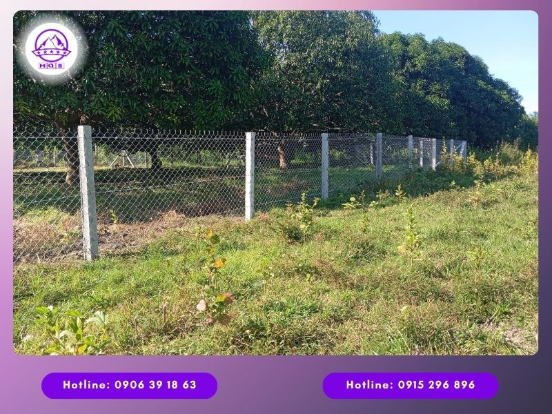 Trụ bê tông 100x100x2000mm rào lưới B40