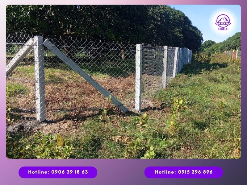 4 ứng dụng phổ biến của trụ rào lưới B40 bằng bê tông 1 Trụ rào lưới B40 bằng bê tông cao cấp