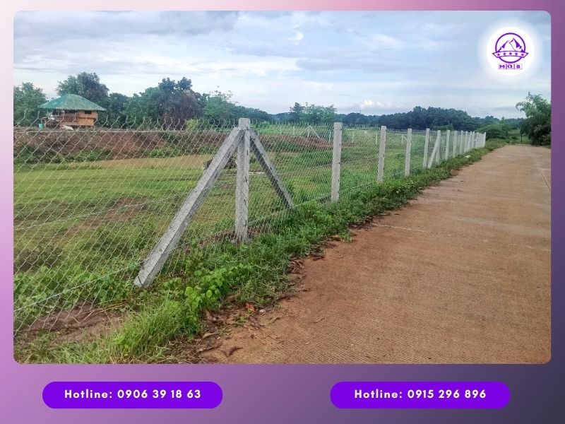 4 ứng dụng phổ biến của trụ rào lưới B40 bằng bê tông 2 Trụ rào lưới B40 bằng bê tông phân chia đất