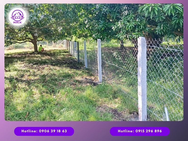 4 ứng dụng phổ biến của trụ rào lưới B40 bằng bê tông 5 Trụ rào lưới B40 bằng bê tông