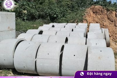 Bi bể phốt D800