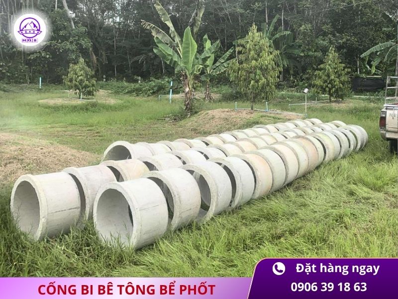 bi be phot khong day tai mien nam