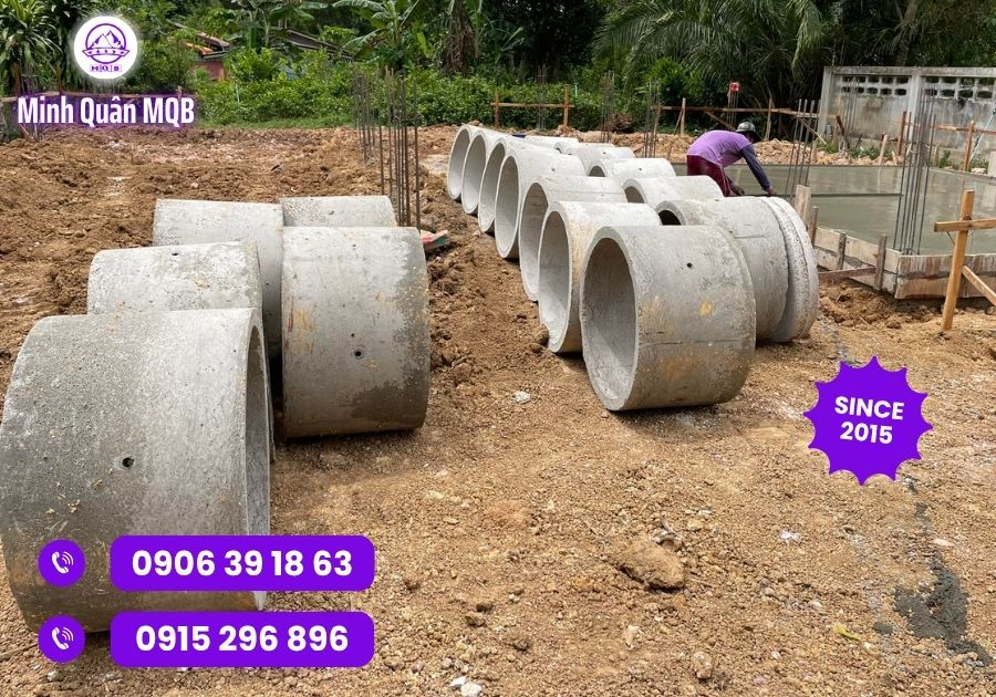 bi cong tron duc san