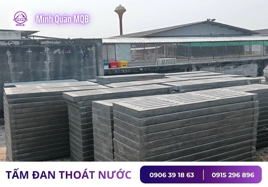 tam dan lot san duc san