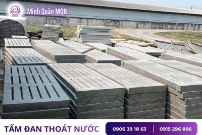 tam dan lot san tai mien nam