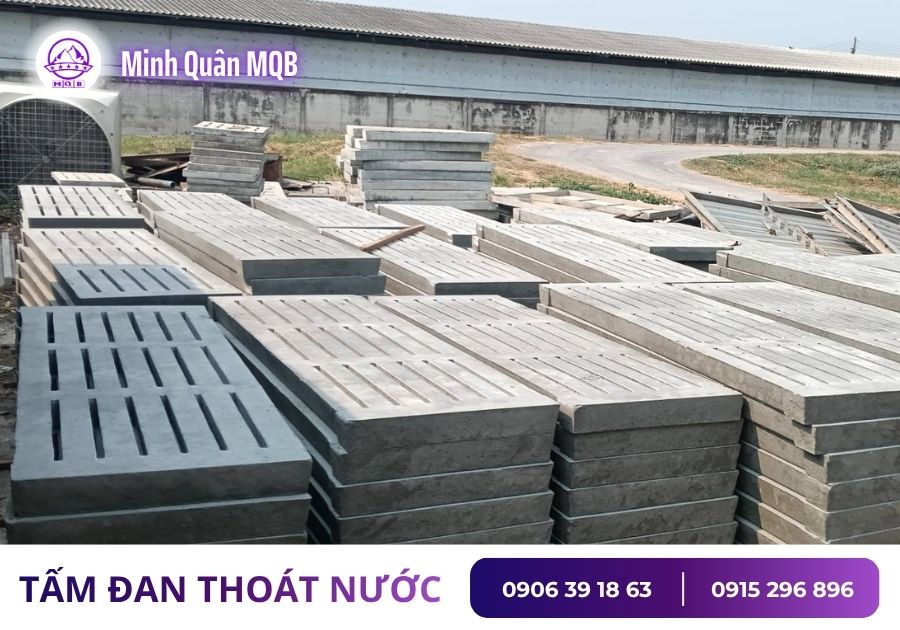 tam dan lot san tai mien nam