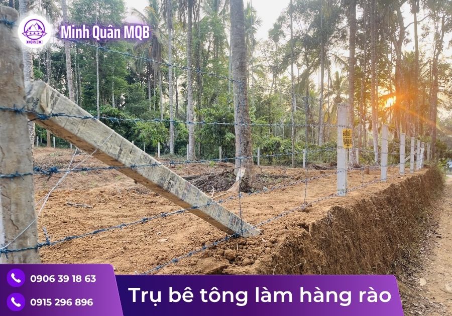 Trụ bê tông 3m đúc sẵn