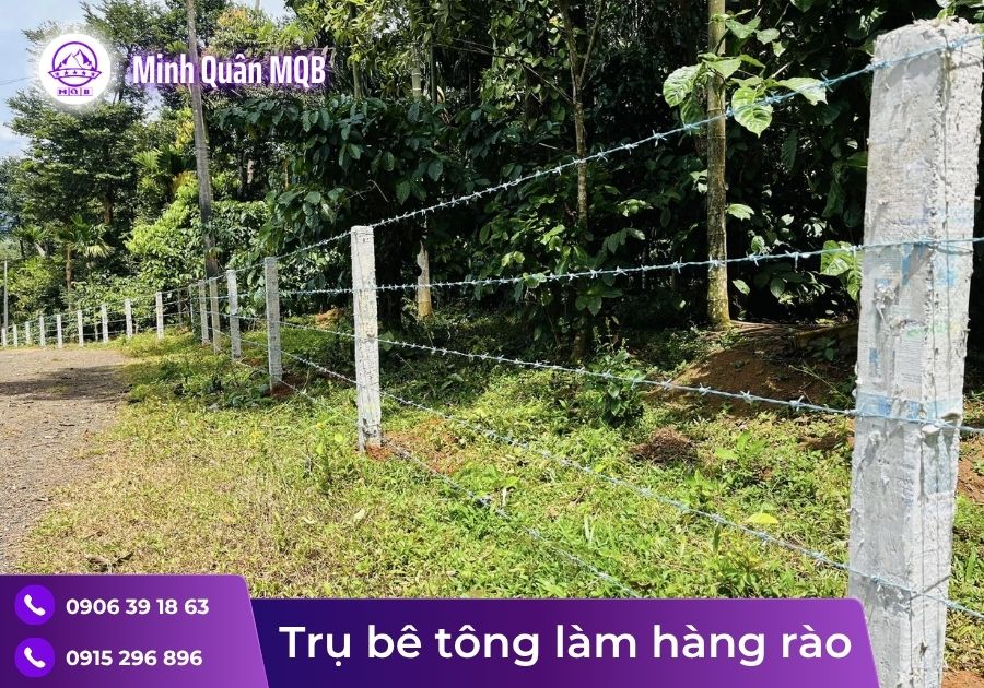 tru be tong 3m lam hang rao