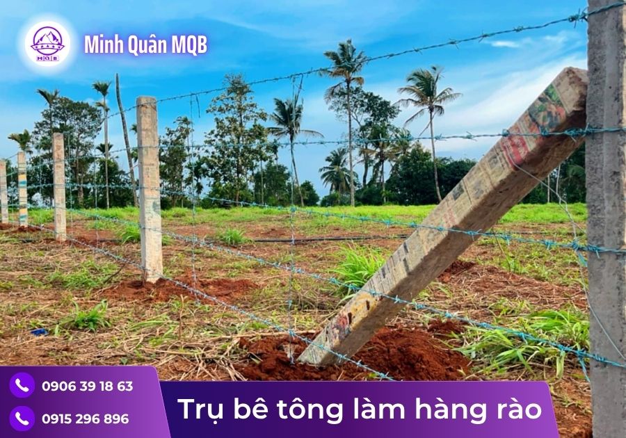 tru be tong 3m rao luoi