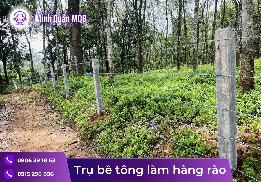 Trụ bê tông 3m