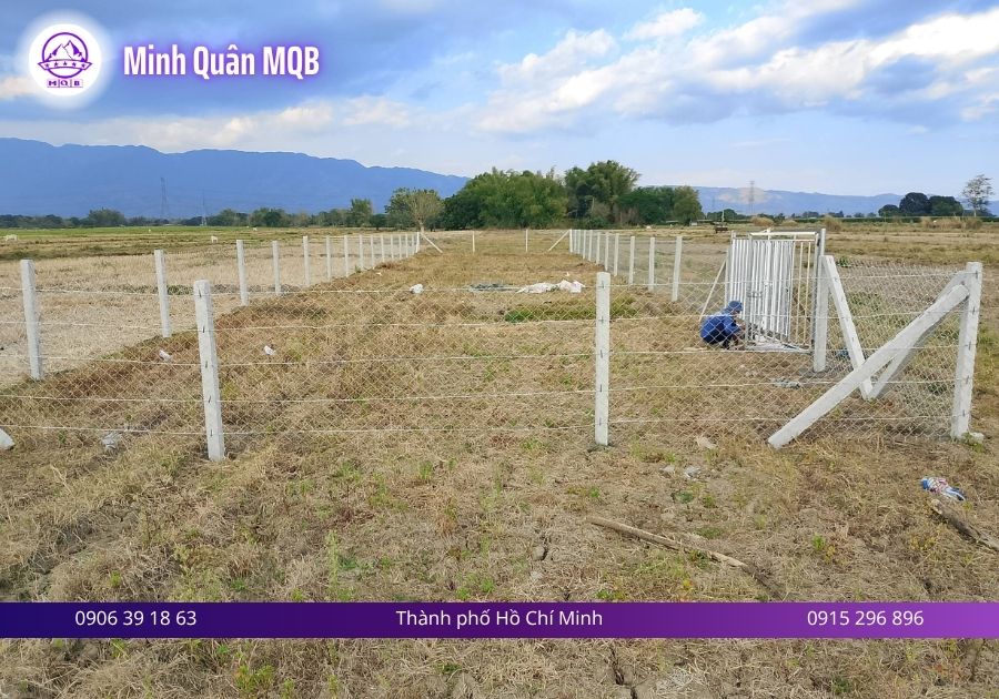 Trụ bê tông cốt thép