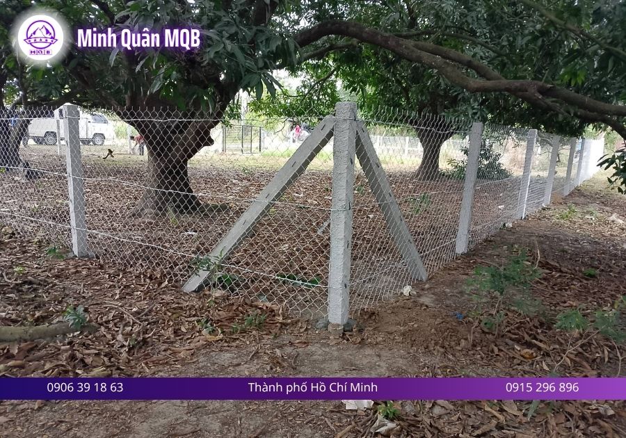 tru be tong tai tay ninh