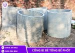 Bi bể phốt D1000