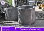Cống bi có gờ âm dương