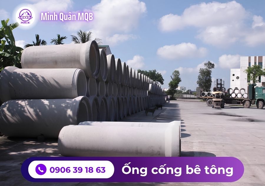 cong btct ly tam tai dong thap