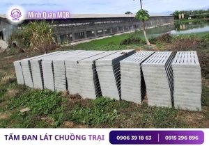 Tấm sàn bê tông có khe