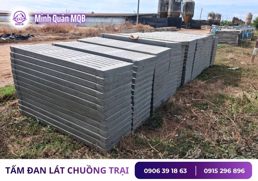 Tấm sàn bê tông có cho chuồng trại